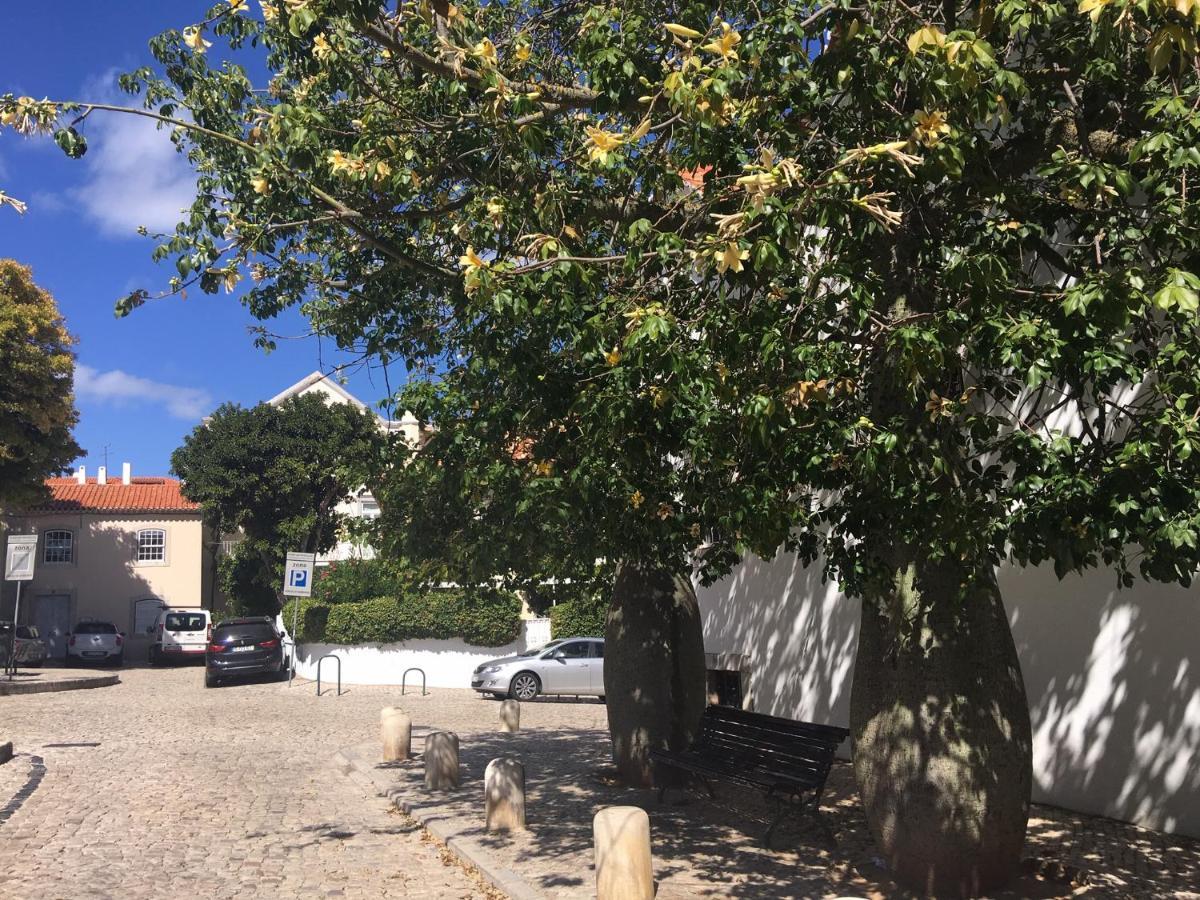 Ninho Salino Hotel Cascais Eksteriør billede