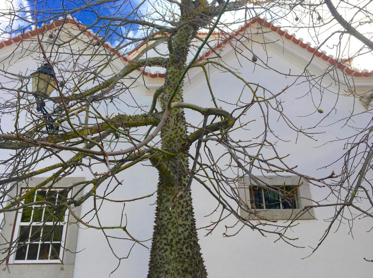 Ninho Salino Hotel Cascais Eksteriør billede